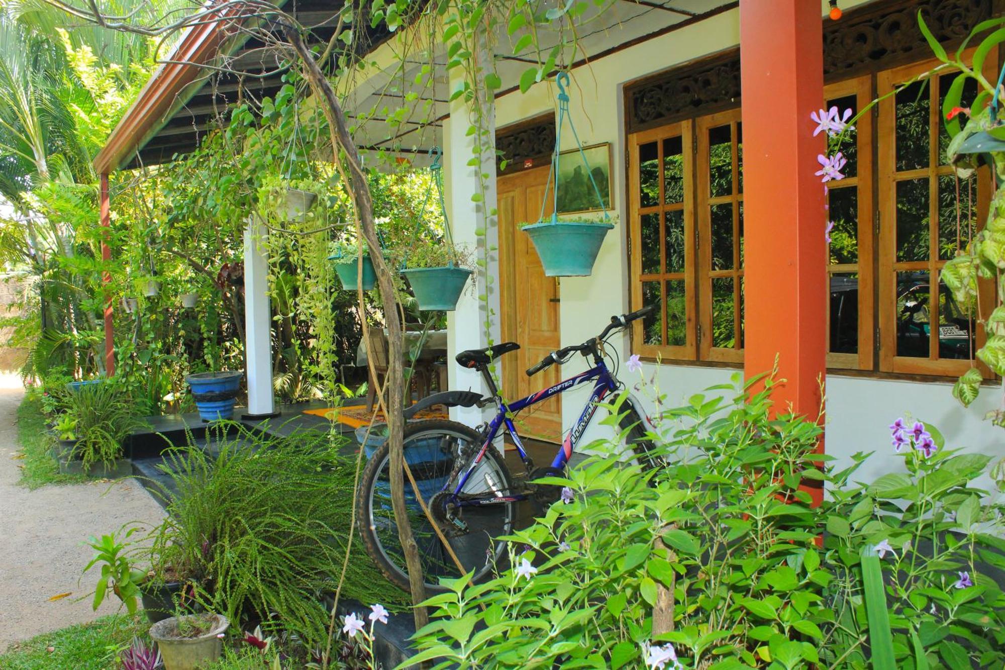 Nature Night Homestay Sigirija Zewnętrze zdjęcie
